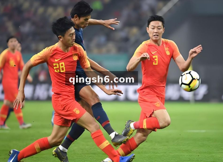Y3国际真人视讯服务配图